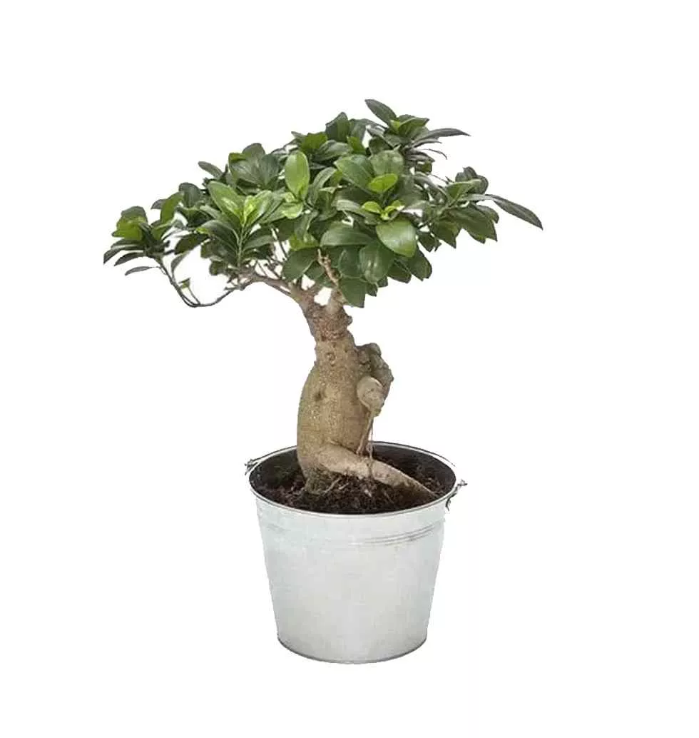 Variety Of Flavoured Spreads